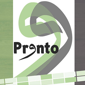 Pronto project preview