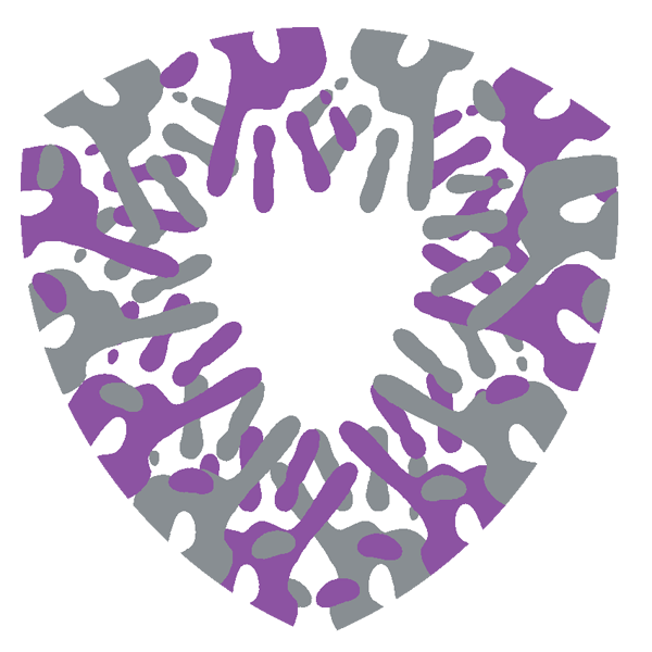 SHEILD — Lebanese NGO platform project preview