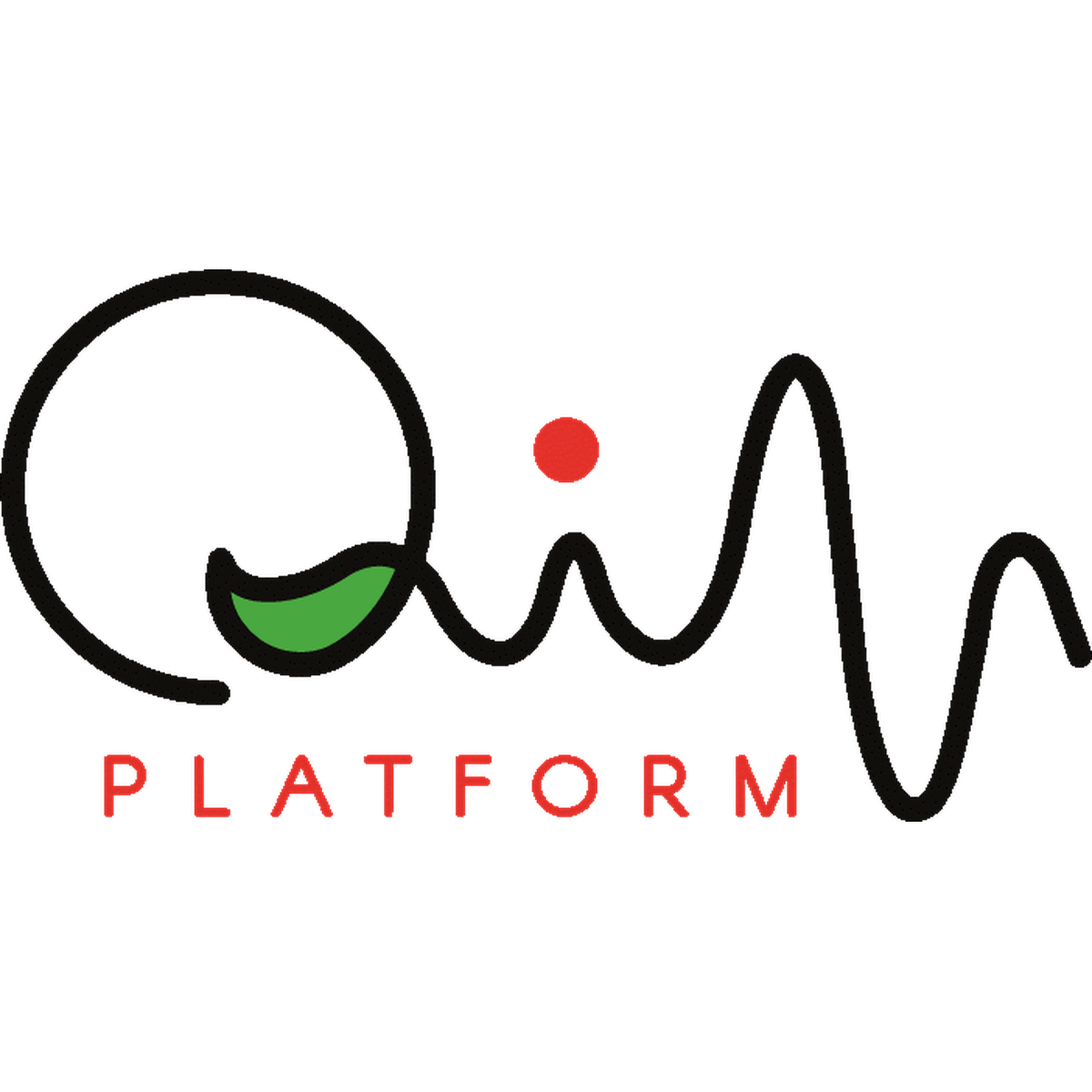 QIN Platform logo