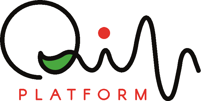 QIN Platform — education ecosystem project preview